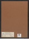 Hemiaulus affinis Grun. (de-Toni-Nr.: Genus 117, Species 3343) Zeichnungen Sammlung Grunow Mappe 03553 (Herbarium_W_Grunow_drawings_Folder_03553)